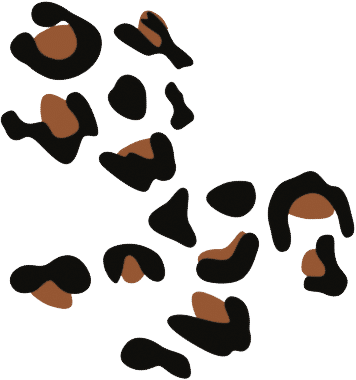 panter logo cassistent